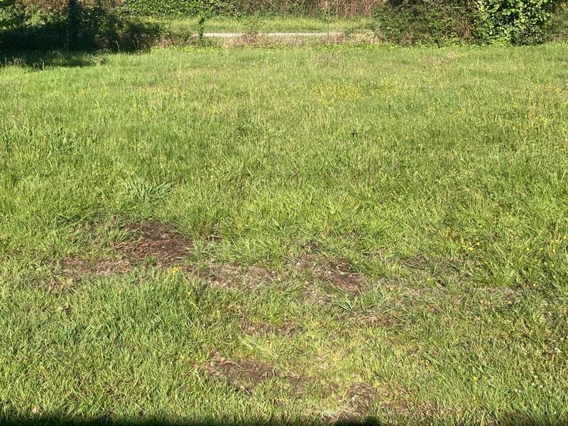 Terrain constructible - 590 m²