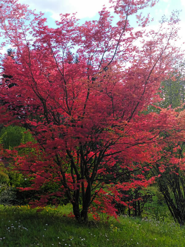 Maison - 134 m² - 4 pièces