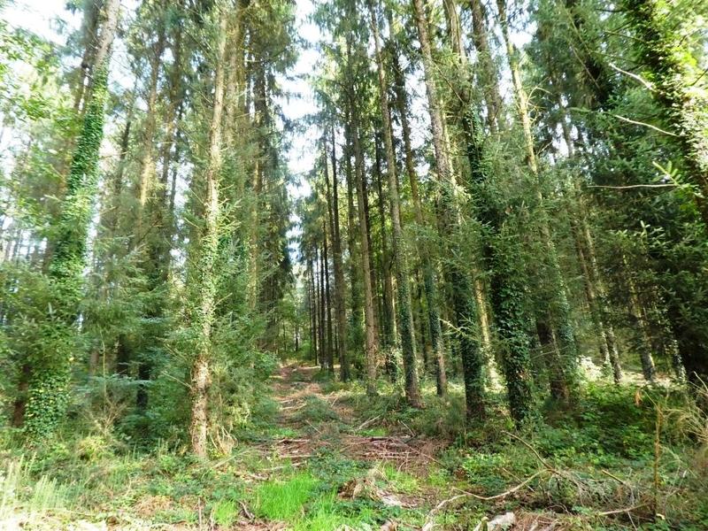 Terrain agricole - 13 280 m²