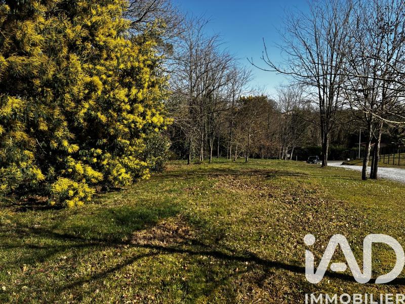 Terrain - 1 250 m²