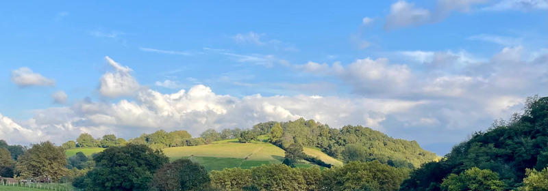 Terrain constructible - 2 004 m²