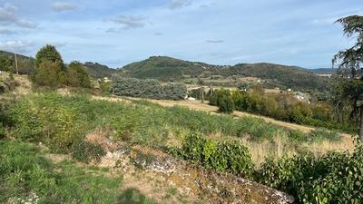 Terrain constructible - 972 m²