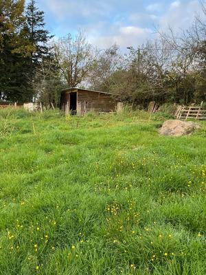 Terrain constructible - 8 600 m²