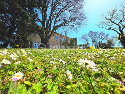 Maison - 387 m² - 10 pièces