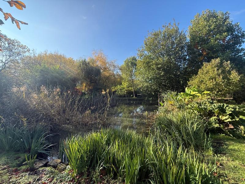 Maison ancienne - 177 m² - 5 pièces