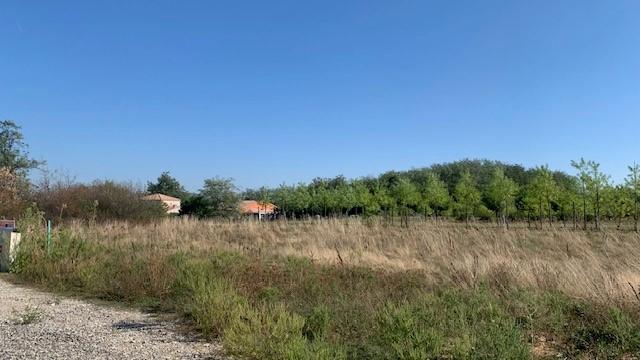Terrain constructible - 1 050 m²