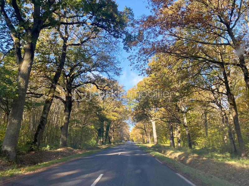 Maison - 79 m² - 4 pièces