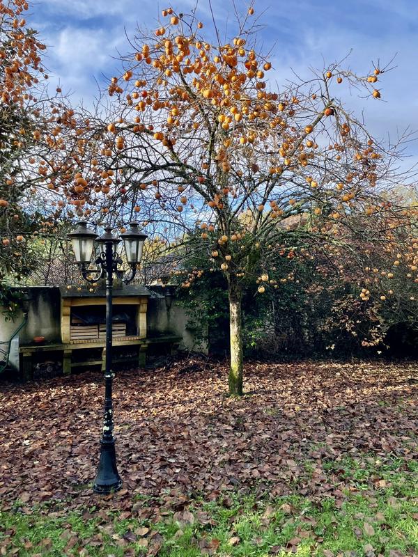 Maison - 141 m² - 5 pièces