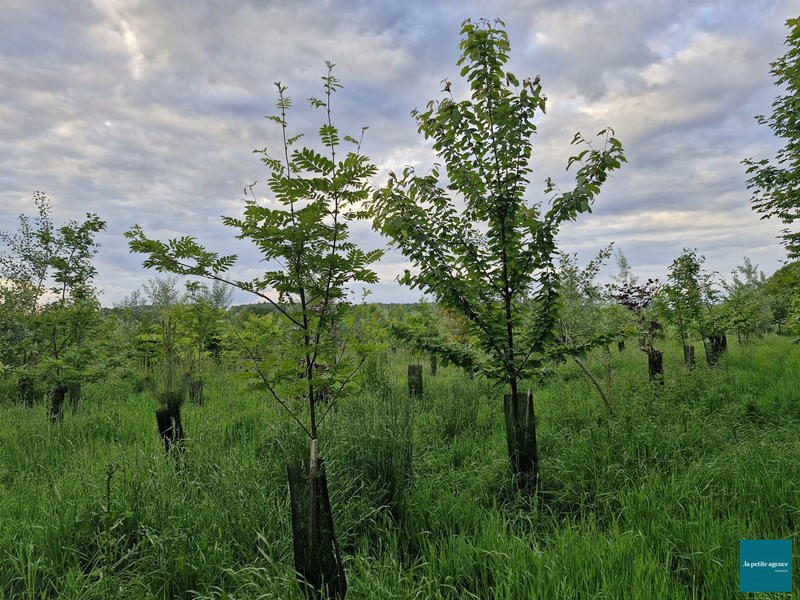 Maison - 254 m² - 6 pièces