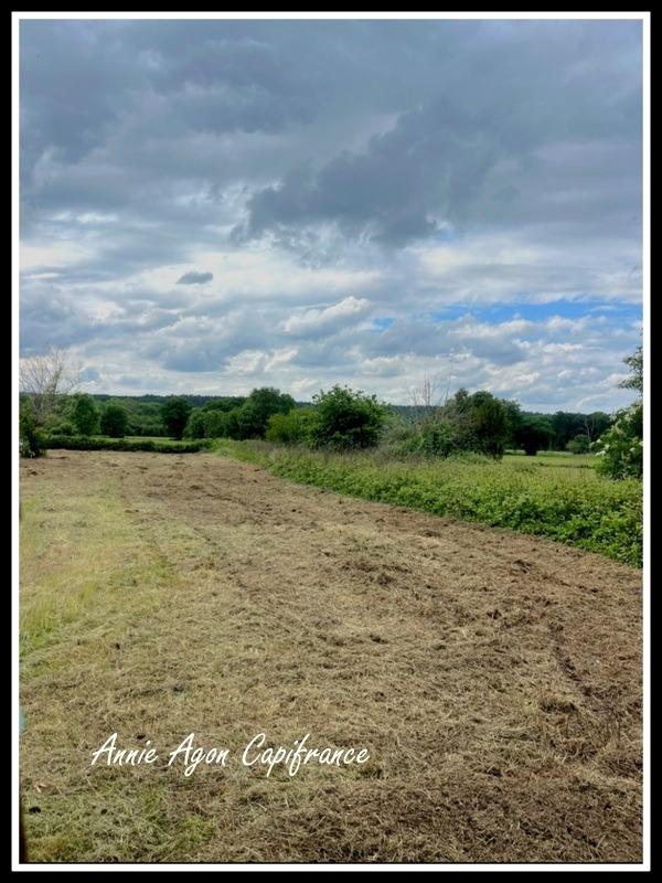 Terrain constructible - 1 513 m²