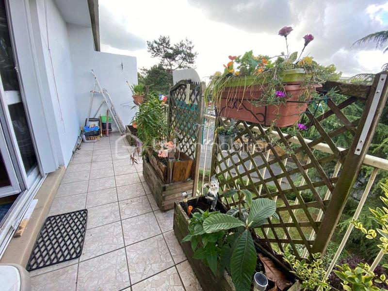 Studio - 36 m² - 1 pièce