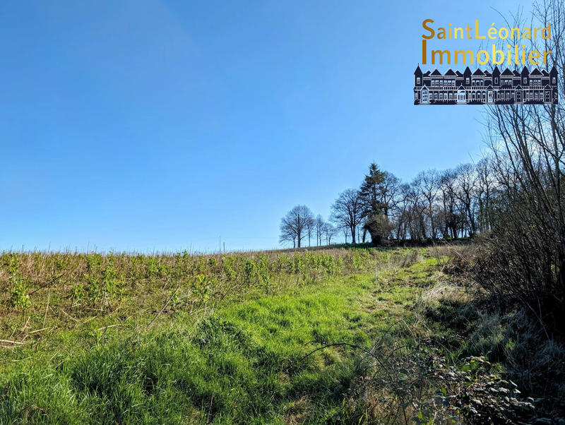 Maison traditionnelle - 130 m² - 1 pièce