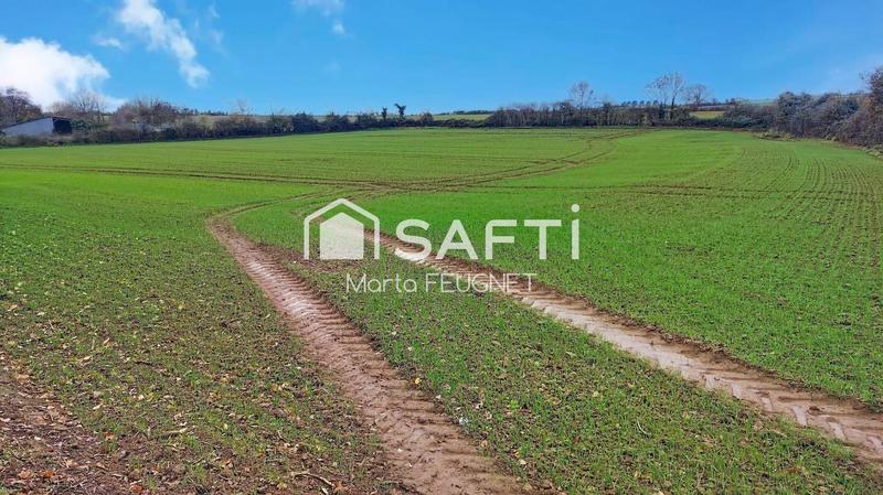 Terrain - 12 700 m²