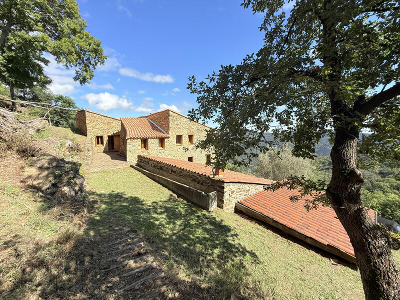 Mas - 538 m² - 13 pièces