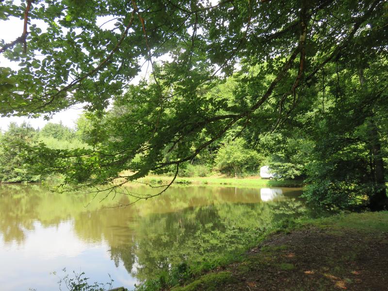 Terrain de loisirs - 4 560 m²