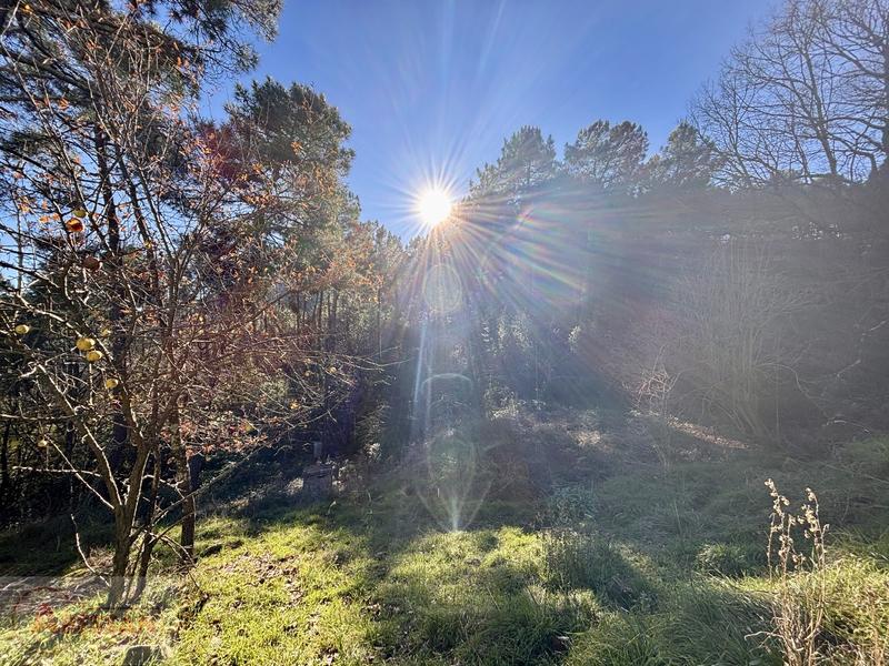 Maison de campagne - 190 m² - 5 pièces