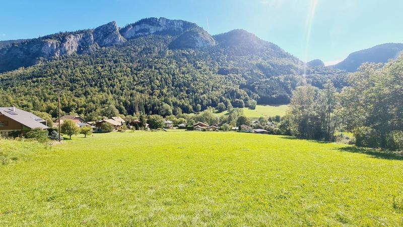 Terrain - 7 600 m²