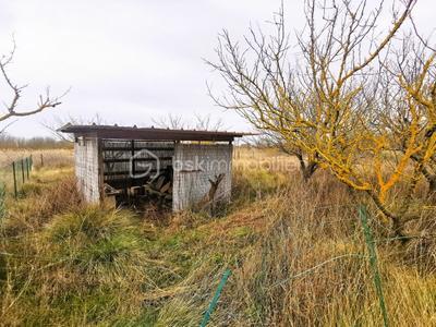 Terrain de loisirs - 7 366 m²