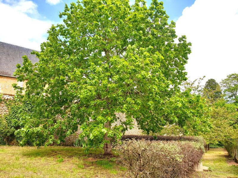 Maison - 14 m² - 1 pièce