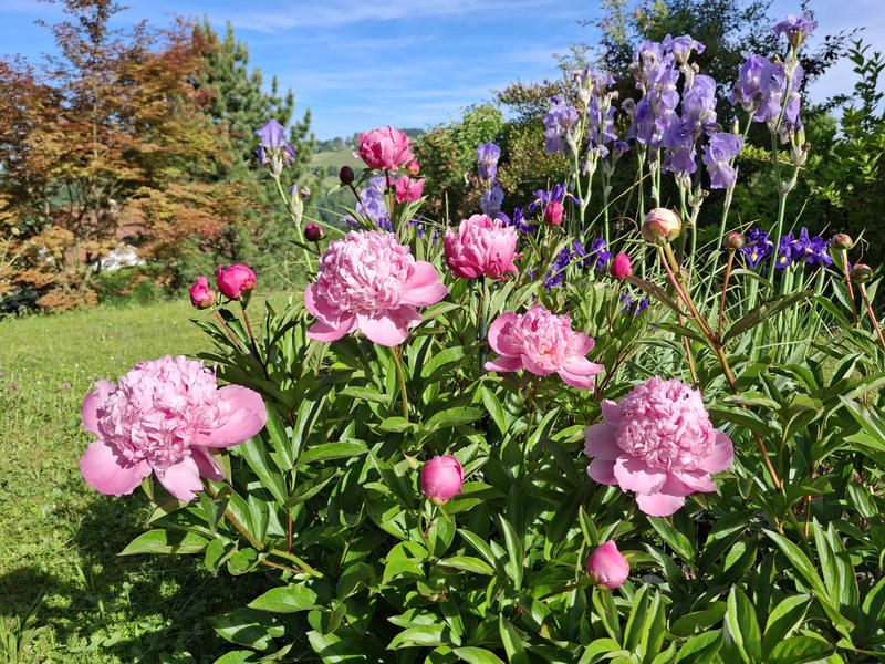 Maison - 134 m² - 4 pièces