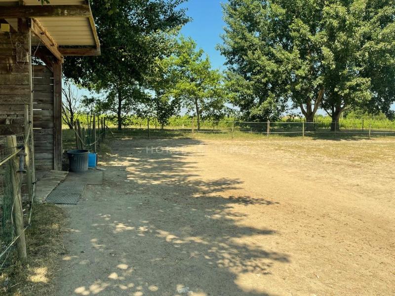 Maison de domaine équestre - 205 m² - 5 pièces