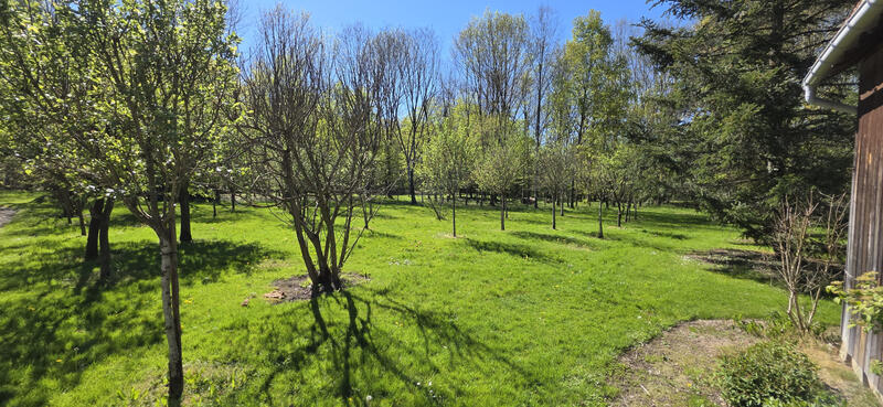 Propriété - 205 m² - 5 pièces