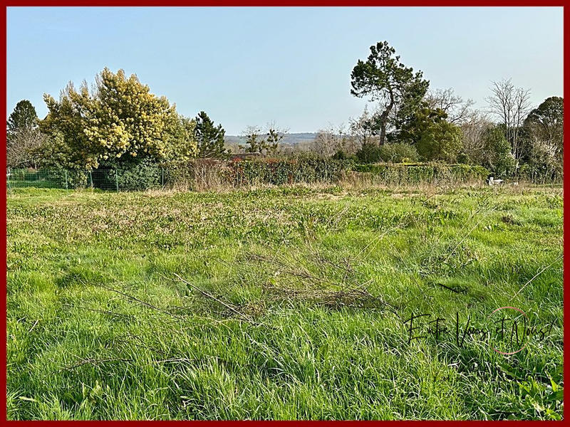 Terrain - 1 555 m²