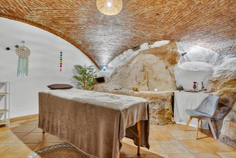 Maison chambre d'hôtes - 438 m² - 12 pièces