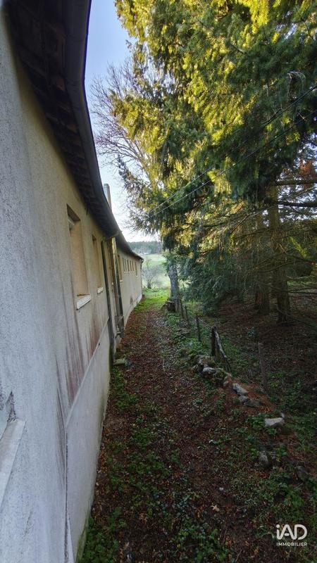 Local commercial - 420 m² - 10 pièces