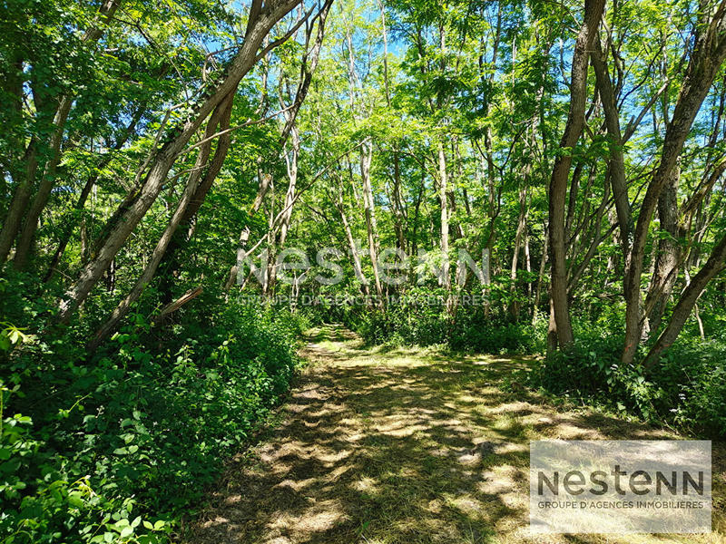 Terrain - 270 000 m²