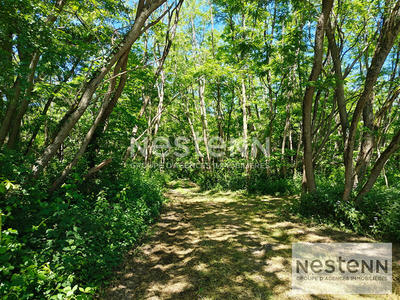 Terrain - 270 000 m²