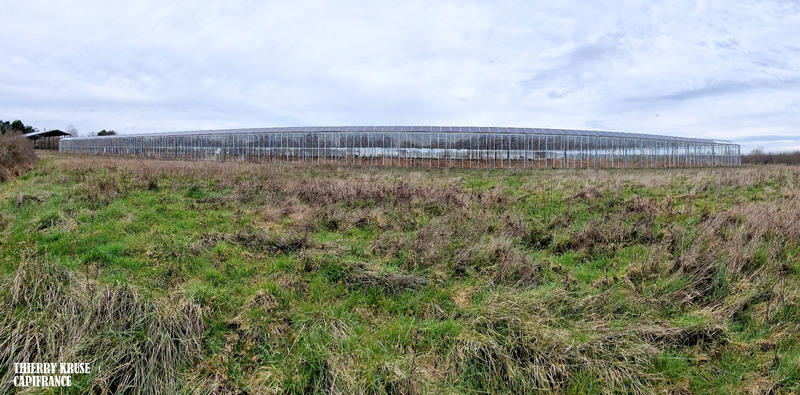 Terrain agricole - 120 000 m²