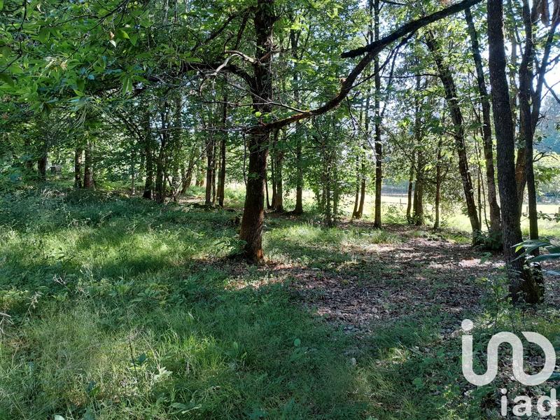 Maison de campagne - 120 m² - 4 pièces