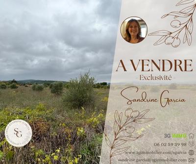 Terrain agricole - 12 476 m²