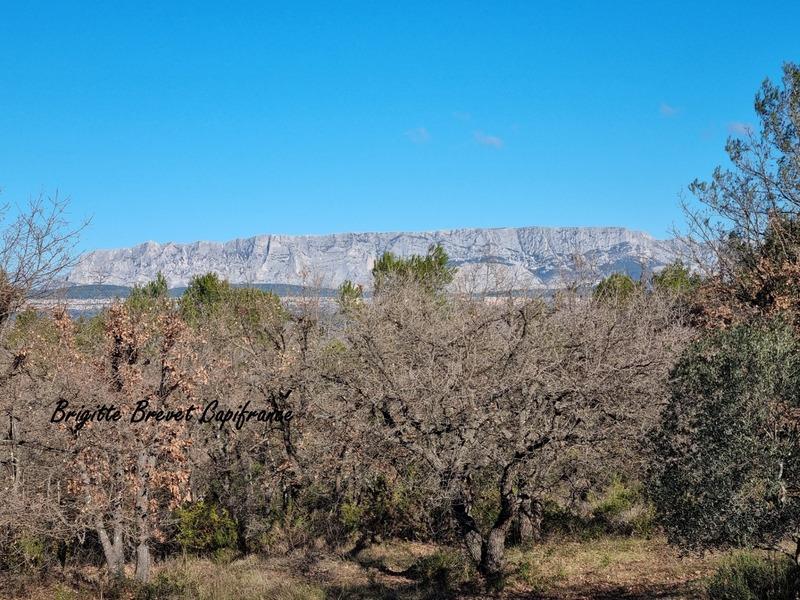 Maison - 49 m² - 3 pièces