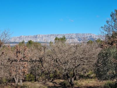 Maison - 49 m² - 3 pièces