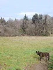 Ferme - 100 m² - 7 pièces