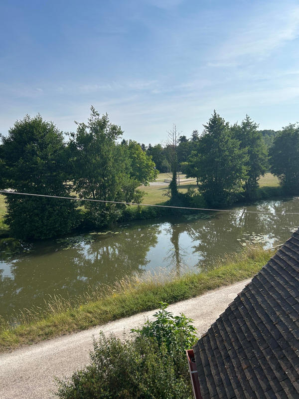 Appartement - 80 m² - 1 pièce