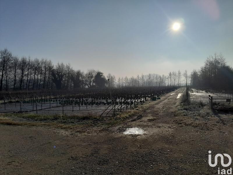 Local commercial - 1 200 m²