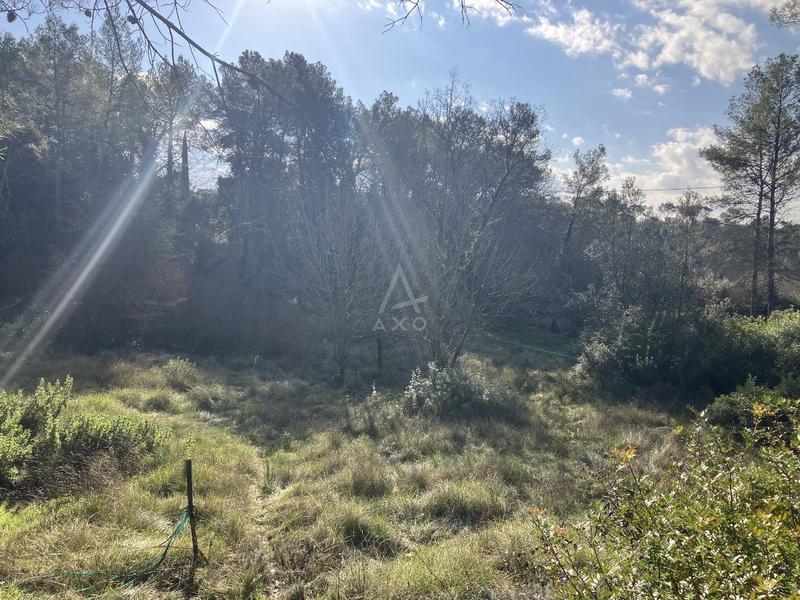 Terrain constructible - 11 000 m²