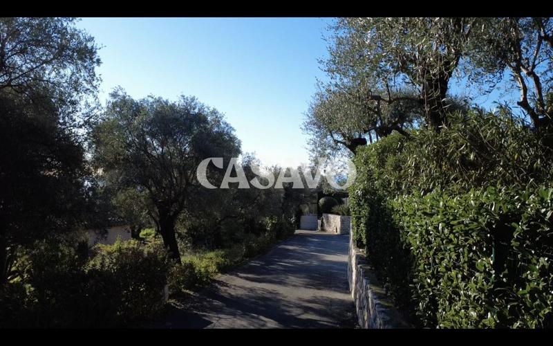 Terrain constructible - 3 337 m²