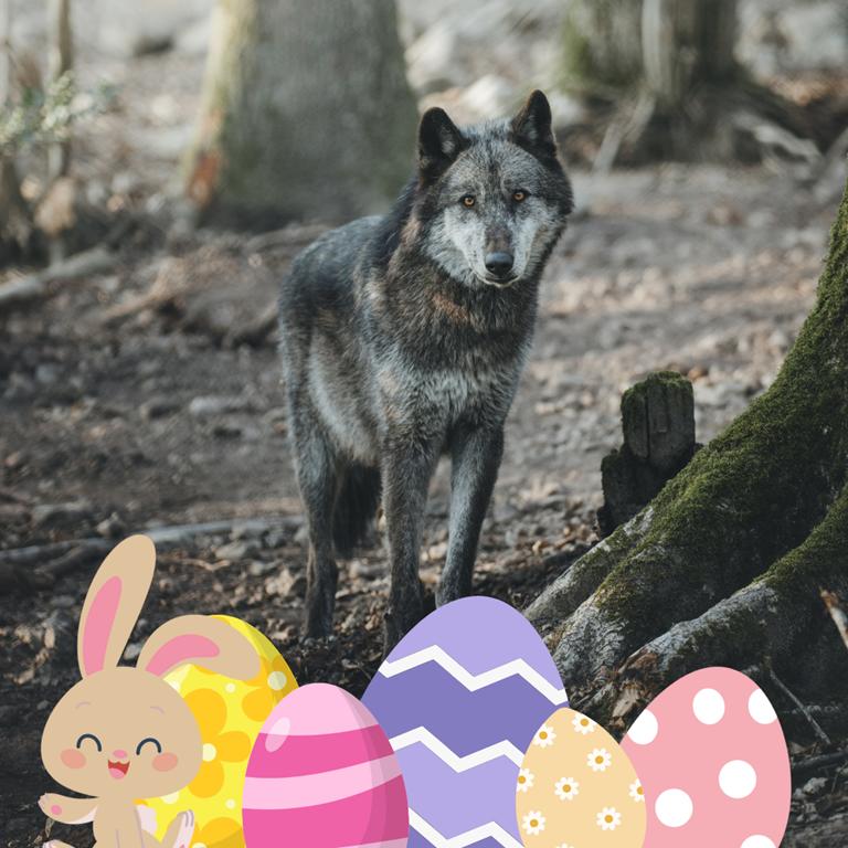 Chasse au trésor spéciale Pâques