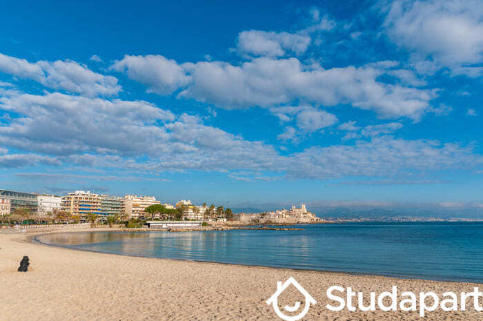 Appartement - 25 m² - 1 pièce