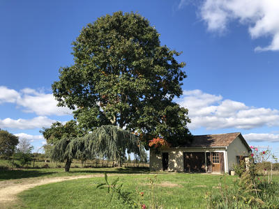 Viager - Maison - 124 m² - 4 pièces