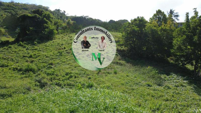 Terrain constructible - 1 241 m²