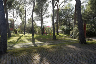 Duplex - 82 m² - 4 pièces