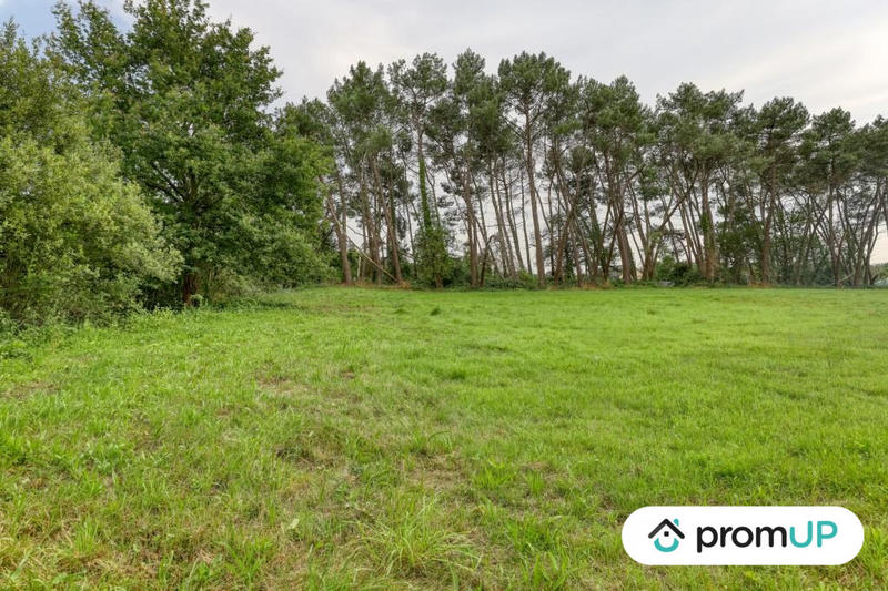 Terrain de loisirs - 982 m²