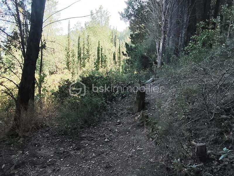 Terrain agricole - 1 625 m²