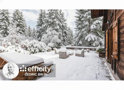 Châlet - 230 m² - 6 pièces