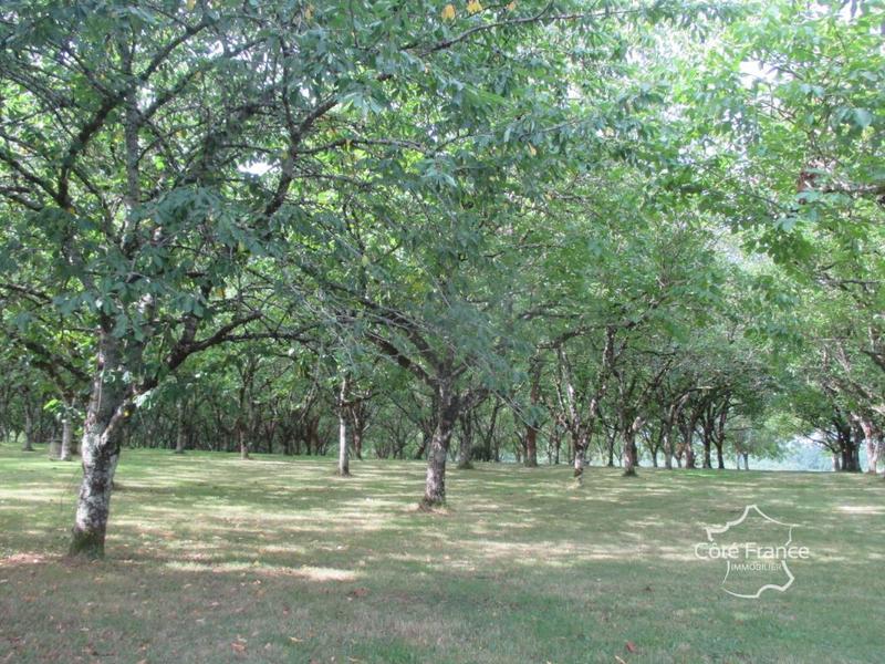 Ferme - 230 m² - 10 pièces